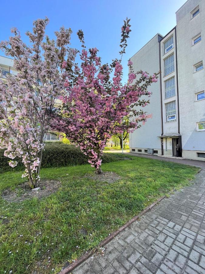 Al-Dom Apartamenty Apartament Zaciszny โควอบเซก ภายนอก รูปภาพ